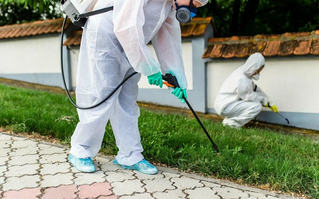 شركة مكافحة بق الفراش بالدمام والخبر والقطيف والظهران شركة مكافحة بق الفراش بالدمام والخبر والقطيف والظهران