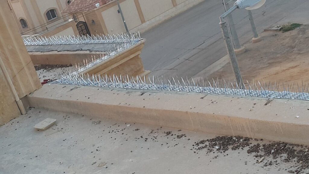 شركة تركيب طارد حمام بالأحساء شركة تركيب طارد حمام بالأحساء